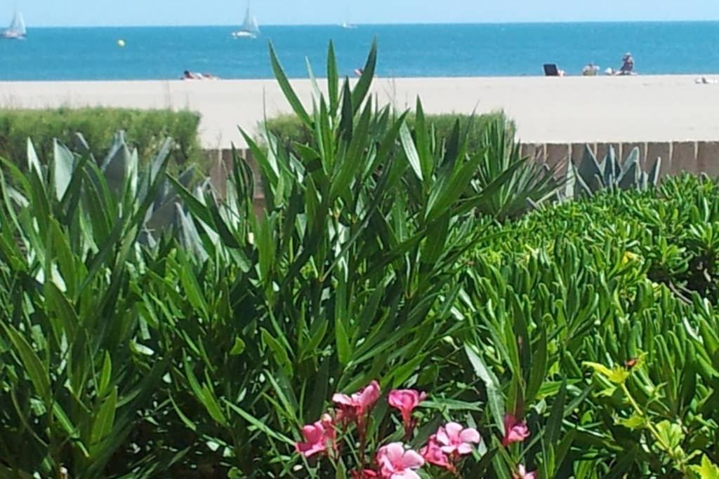 Cros Mer Et Piscine Saint-Pierre-la-Mer  エクステリア 写真